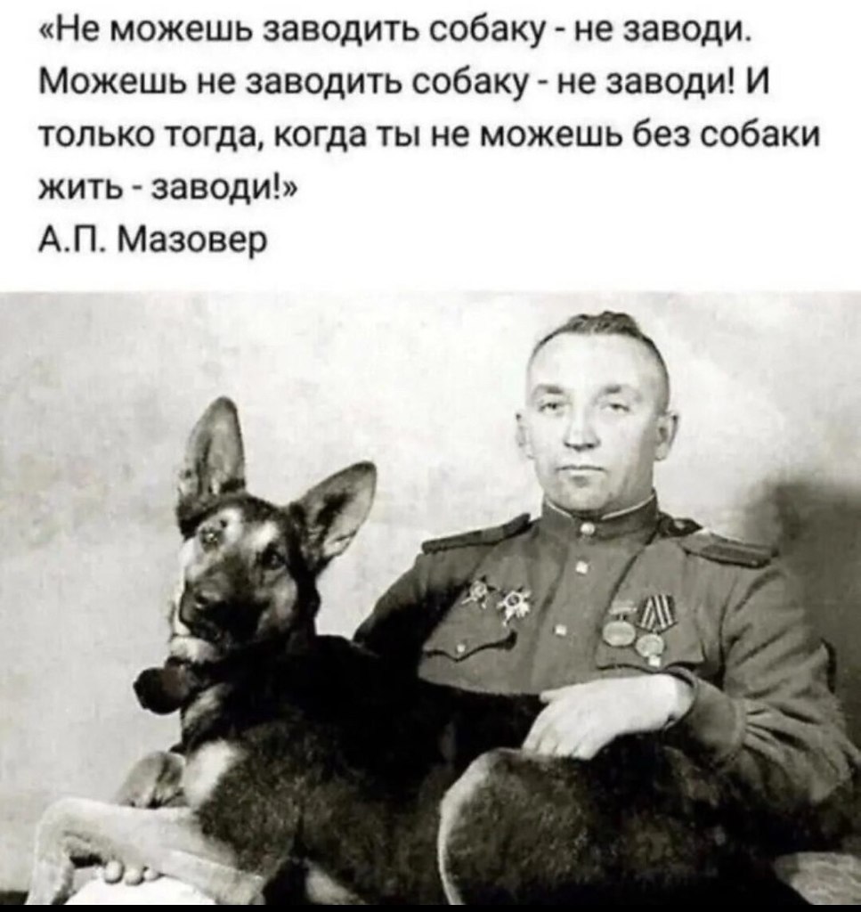 ������ - 10 ��� 2026 � 20:22