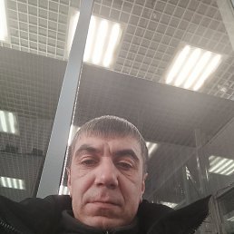 �����, 44 ����, ����