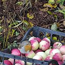 ���� �����, ������, 66 ��� - ��������� 16 ��� 2024 � ������ ��������