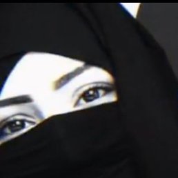 ������, ��������, 24 ����