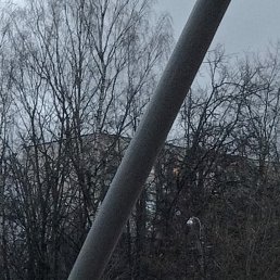 ���� ���������, �����-���������, 65 ��� - ��������� 4 ������ 2025