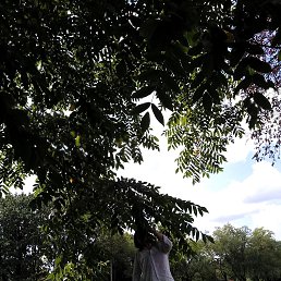 ���� ����, ����� - ��������� 10 ������ 2026