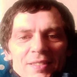 �����, �����-���������, 40 ���