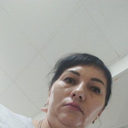 �����, �������, 41 ���