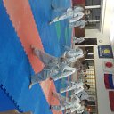   141 //,   -  23  2024    