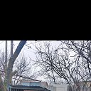 ���� ����, ������-��-����, 37 ��� - ��������� 16 ������� 2025 � ������ ���� ����������