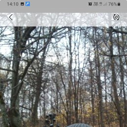 , 51, 