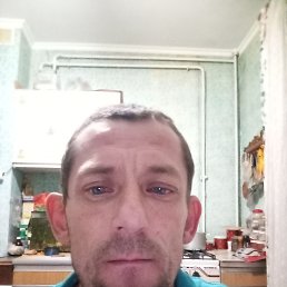 , 37, 