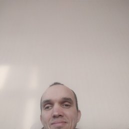 �������, 38 ���, ������