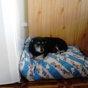  Louda05, , 27  -  9  2025    