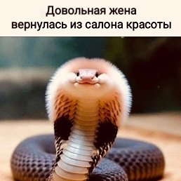 �����, ������, 49 ���