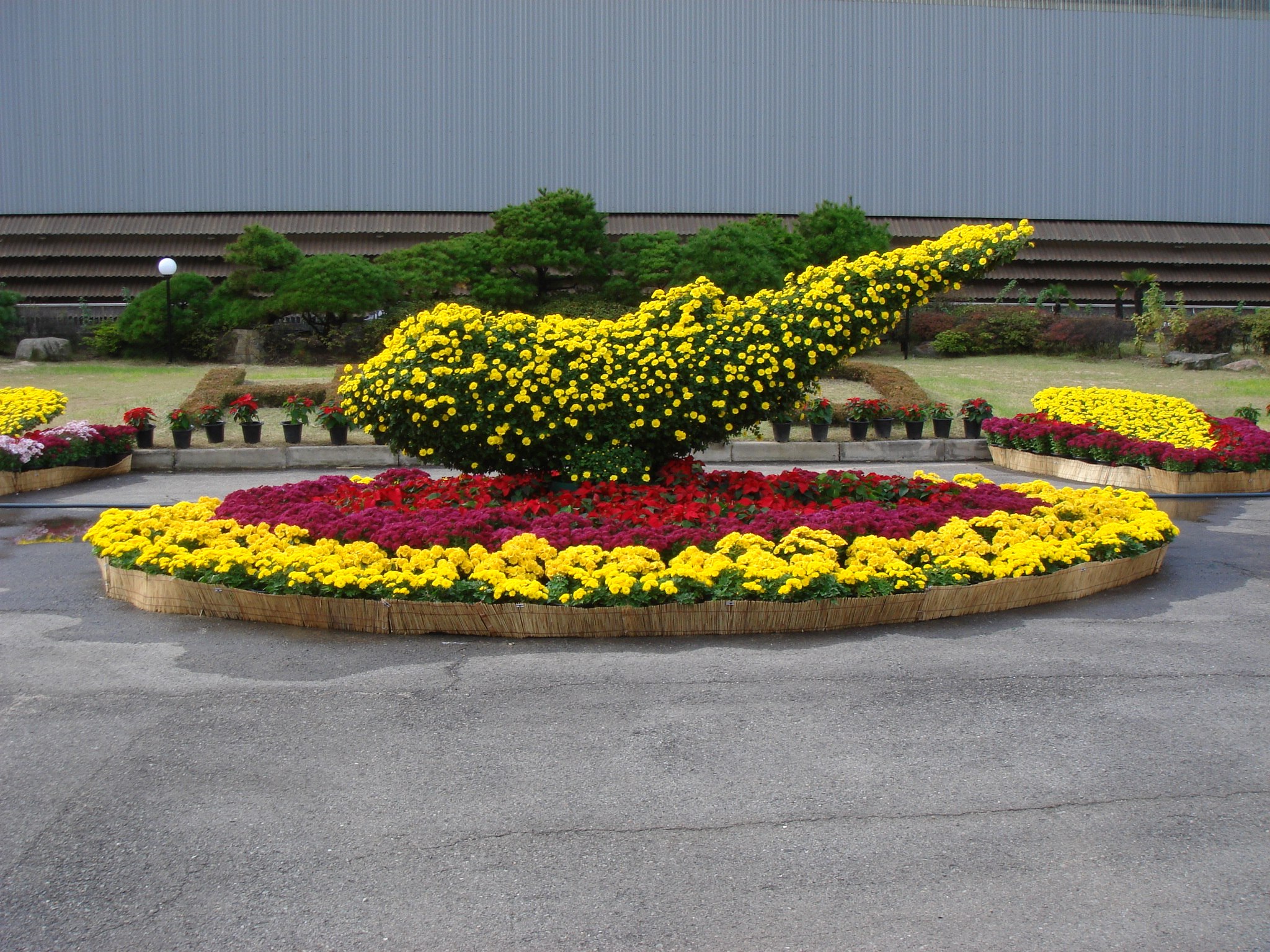 ������ - 24 ������ 2025 � 20:31