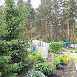 ������, ������������, 62 ����