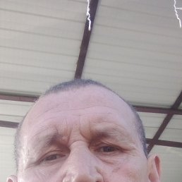 , 46, 