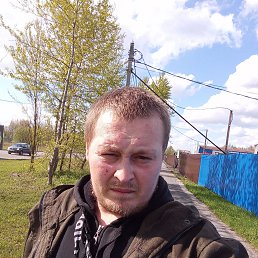 , 29, 