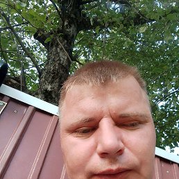 , 36, 
