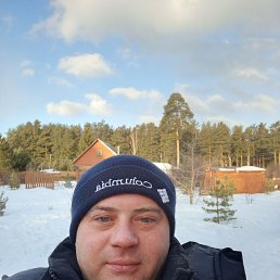 �������, 41 ���, ������