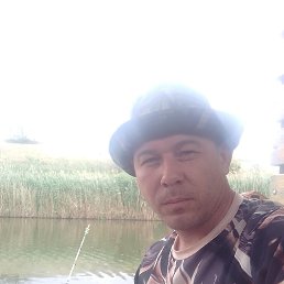 �����, 38 ���, ������