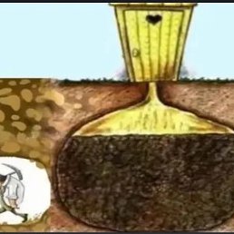 Amoung, �������, 23 ����