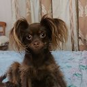 ���� ������, �����-��������� - ��������� 21 ������ 2025 � ������ ������ ��������