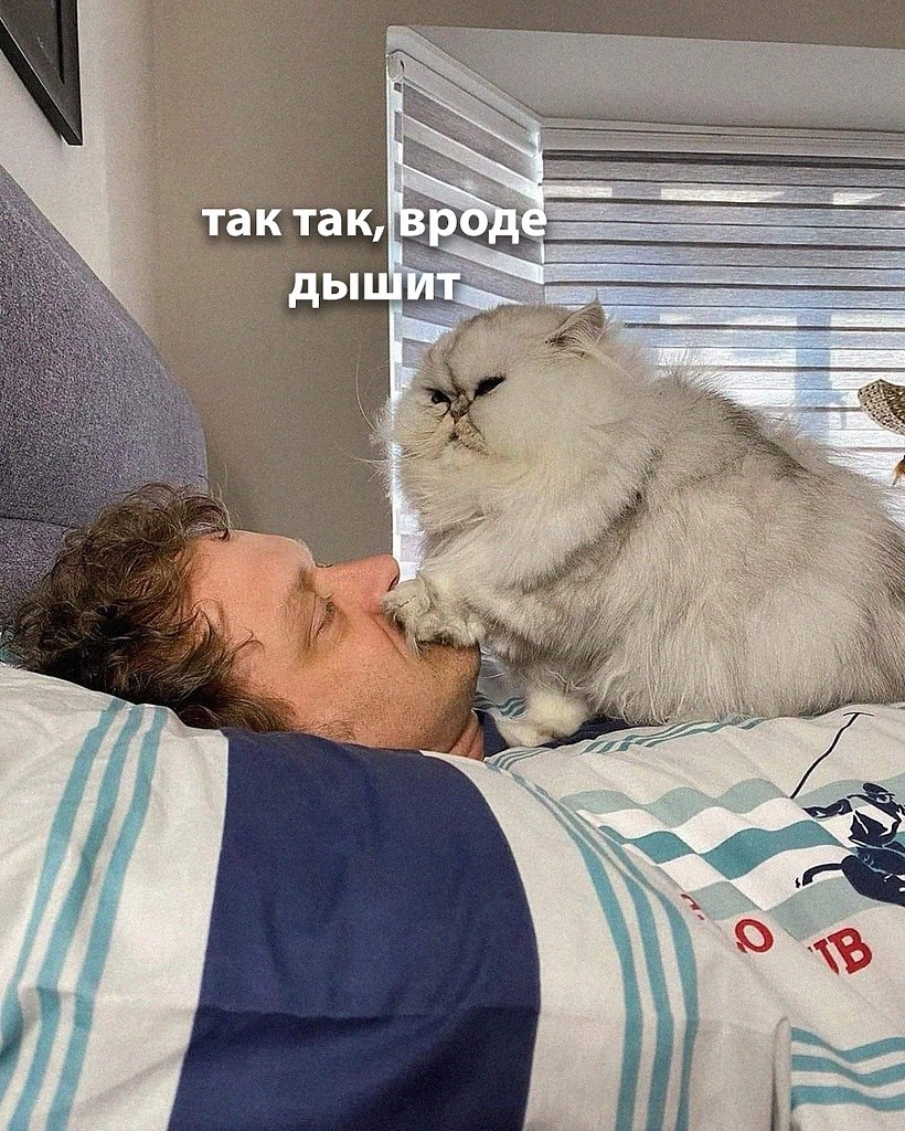 ��� �������� �������� - 30 ������ 2025 � 04:31