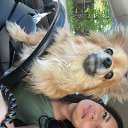 ���� ���������, �����������, 31 ��� - ��������� 10 ������� 2024