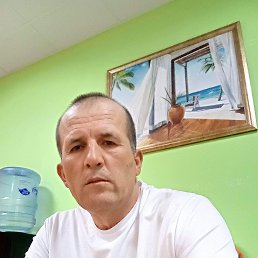 , 50, 
