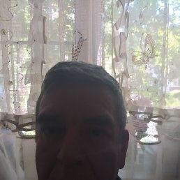 ������, ������, 51 ���