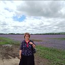 ���� �������, �������, 62 ���� - ��������� 24 ���� 2025