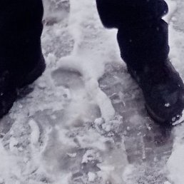 �����, ������, 48 ���