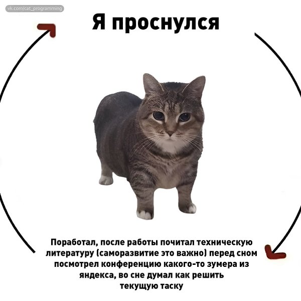 /zev/null - 3  2025  08:27