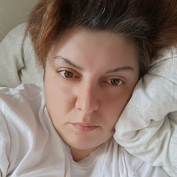 �����, ��������, 41 ���