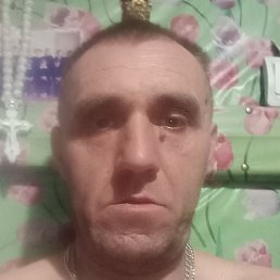 ������, �����������, 46 ���