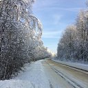 ���� ���� �������, ������, 36 ��� - ��������� 8 ������� 2024 � ������ ���� ����������