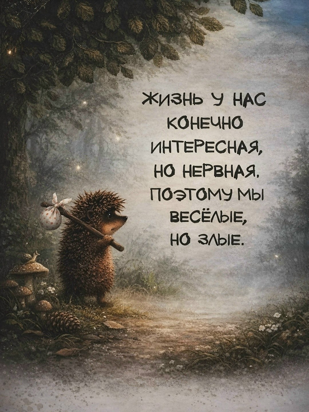 �������� - 14 ��� 2026 � 06:51