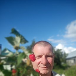 , 50, 