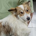 ���� � .�., ������, 60 ��� - ��������� 11 �������� 2024 � ������ ���� ����������