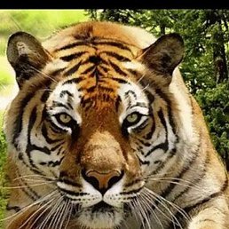 �������, ������, 34 ����