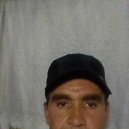 ��������, 53 ����, ����