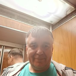 , 55 , 