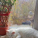  ,  , 54  -  26  2025    