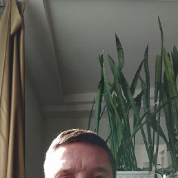, 41, 