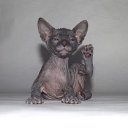 ���� ���, ������� - ��������� 17 ������ 2024 � ������ ���� ����������