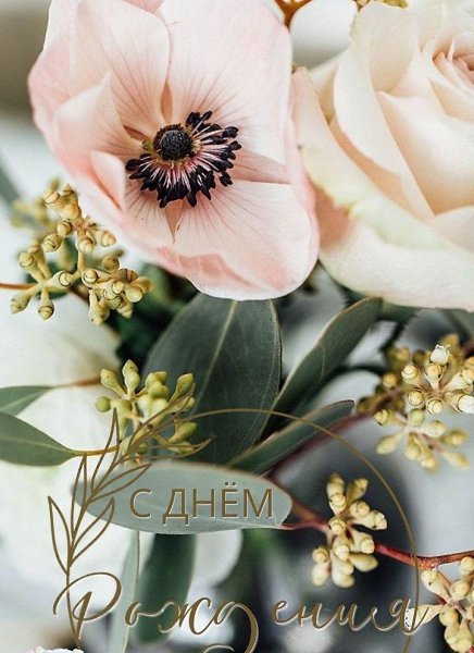   ,    . - 24  2025  16:13