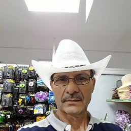 �������, ����, 67 ���