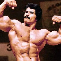 ���� ������, �����, 40 ��� - ��������� 24 ������ 2026