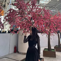 �����, 20 ���, ������