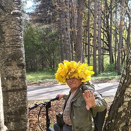 ��������, 68 ���, ���������