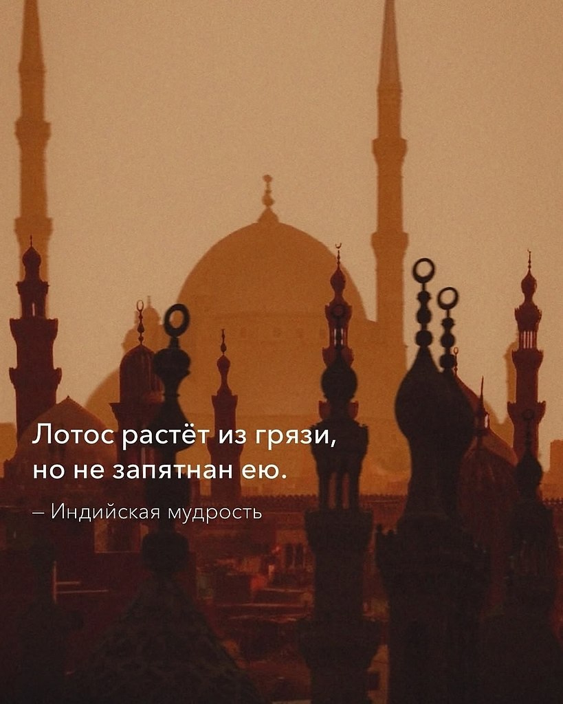 Доброе утро, друзья. - 4