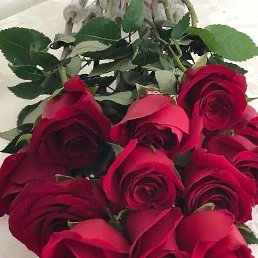 ���� �����, ���������, 50 ��� - ��������� 18 ������� 2025